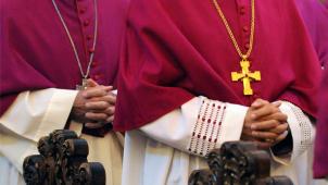 <p>Papst Franziskus hat 380 Würdenträger der katholichen Kirche zu einem dreitägigen Gipfeltreffen eingeladen. Für den Vatikan stellt das eine Premiere dar. Bei dem Treffen geht es um den sexuellen Missbrauch in Kirchenkreisen.</p>
