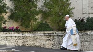<p>Papst Franziskus bei seiner Ankunft zum Missbrauchsgipfel im Vatikan.</p>