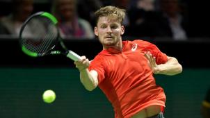 <p>David Goffin</p>