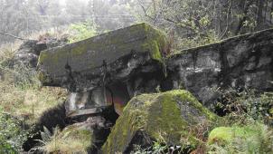 <p>Westwallbunker in der Schneifel: Vor 80 Jahren wurde das Mammutprojekt realisiert.</p>