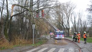 <p>In der Nohn in Kettenis musste die Feuerwehr einen abgeknickten Ast von der Straße räumen.</p>