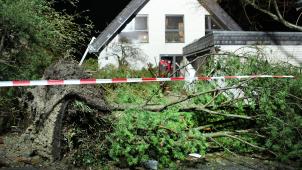 <p>Umgestürzte Bäume liegen vor einem Haus. Ein Tornado hat in Roetgen Dächer abgedeckt, Häuser beschädigt und die Bewohner erschreckt.</p>