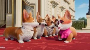 <p>Bei dem Film stehen die haarigen Vierbeiner im Mittelpunkt.</p>