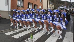 <p>Die Schönberger Tanzgarde ließ den Frosch vor Freude hüpfen.</p>