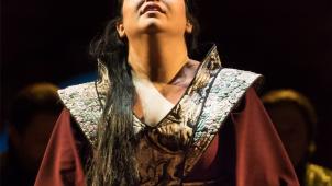 <p>Erzählt wird die Geschichte der äthiopischen Prinzessin Aida (Elaine Alvarez), die von den Ägyptern in Geiselhaft gehalten wird.</p>