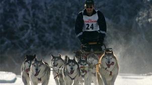 <p>In Rodt sind wieder die Huskys los.</p>