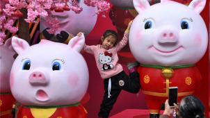 <p>In der Nacht zum Dienstag beginnt in China das „Jahr des Schweines“</p>