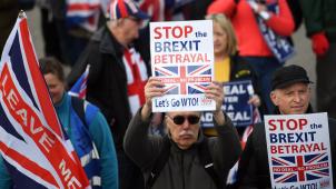 <p>Demonstranten beim March to Leave, der von Nottingham nach London zieht und am 29. März mit einer Massenkundgebung vor dem Parlament enden soll. Die Aufschrift der Schilder lautet: Stoppt den Brexit-Verrat. Kein Deal - Kein Problem. │ Bild: dpa</p>