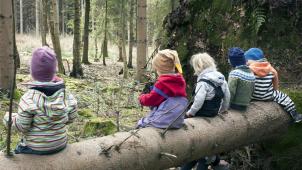 <p>Beim Waldkindergarten sind die Kinder den ganzen Tag über in der Natur unterwegs. Es wird sehr viel Wert auf das freie Spiel gelegt.</p>