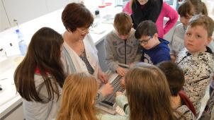 <p>In der Apotheke Hardy durften die Meyeroder Kinder bei der Kapselzusammensetzung helfen.</p>