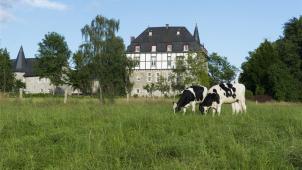<p>Die ostbelgische Landwirtschaft/Viehhaltung ist im Laufe der Jahre in bedeutendem Maße extensiviert worden. Diese Entwicklung ist in der Eifel in einen sehr hohen Anteil von Biobetrieben gemündet, die in einigen Eifelgemeinden mittlerweile mehr als ein Drittel der gesamten landwirtschaftlichen Nutzfläche bewirtschaften.</p>
