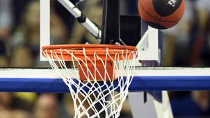 <p>basketball illustration 2</p>