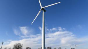 <p>Elf Windkraftanlagen könnten unweit der Autobahn E42 zwischen Malmedy und Francorchamps entstehen.</p>