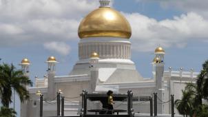 <p>Trotz internationaler Kritik sind seit Mittwoch im Sultanat Brunei härtere Strafgesetze in Kraft.</p>
