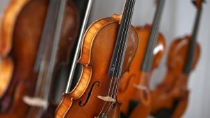 <p>Es werden zahlreiche Streicher für die Musikfreizeit gesucht.</p>