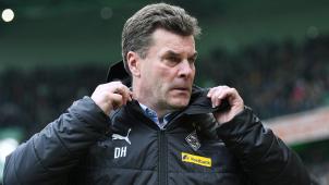 <p>Dieter Hecking</p>