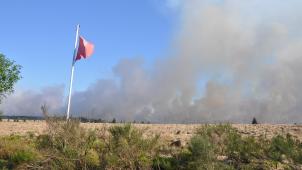 <p>Aufgrund von Trockenheit steigt die Gefahr eines Brandes im Hohen Venn.</p>