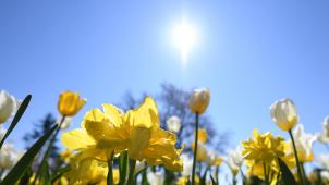 <p>Viel Sonne zu Ostern. Herrliche Frühlingstage, oder sogar schon ein wenig vorsommerliche Stimmung.</p>