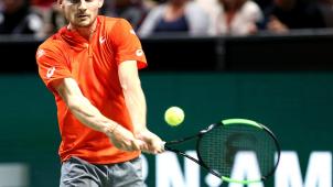 <p>David Goffin</p>