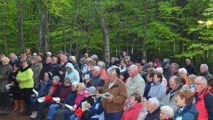 <p>Zahlreiche Pilger kamen zum Gottesdienst am Richelsley Kreuz im Venn.</p>