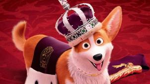 <p>„Royal Corgi - Der Liebling der Queen“ startet heute.</p>