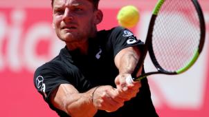 <p>David Goffin musste alles geben.</p>