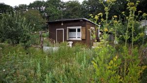 <p>Die Rumänen waren in Gartenhäuschen und Schuppen eingebrochen.</p>