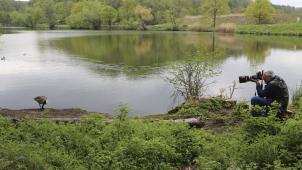 <p>Ganz ruhig schleicht Nico Dreesens sich an die Kanadagans heran, geht in die Hocke, das Objektiv im Anschlag und wartet auf die richtige Haltung des Tieres.</p>