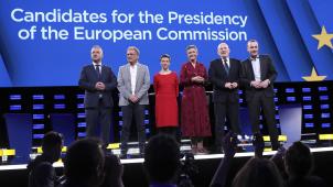 <p>Es war die einzige Debatte, zu der die größten Fraktionen im EU-Parlament ihre Topleute schickten.</p>