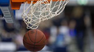 <p>basketball illustration</p>