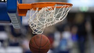 <p>basketball illustration</p>