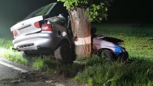 <p>Für den Fahrer kam jede Hilfe zu spät, er starb noch am Unfallort.</p>