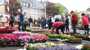 <p>Der Blumenmarkt lockte auch in diesem Jahr viele Menschen auf den Werthplatz.</p>