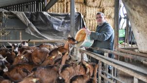 <p>Ziegenzüchter Philippe Hunger lädt am Wochenende auf seinen Ketteniser Hof ein.</p>