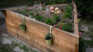 <p>Es ist das pädagogische Ziel, die im Restaurant gegessenen Nahrungsmittel, im Hochbeet für sich neu zu entdecken.</p>