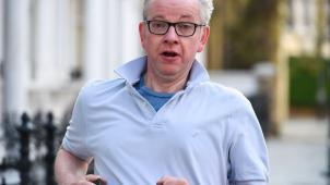 <p>Ebenfalls Kandidat: Umweltminister Michael Gove</p>