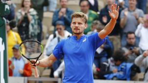 <p>David Goffin</p>