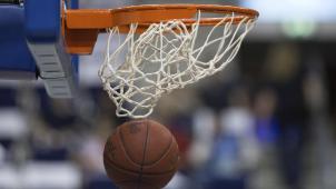 <p>basketball illustration</p>