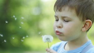 <p>In Ostbelgien werden aktuell 67 Kinder von Pflege- und Patenfamilien betreut.</p>