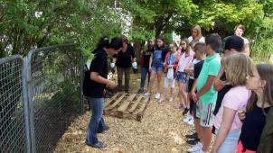 <p>Der Bau eines Tier- und Insektenhotels will gut vorbereitet sein. Von Animatorin Chantal Martin gab es letzte Instruktionen an die Schülerinnen und Schüler der Städtischen Grundschule St.Vith.</p>
