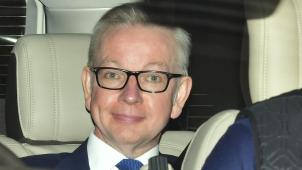 <p>Seine Aussichten dürften sich hingegen verschlechtert haben: Umweltminister Michael Gove (Bild) gab am Wochenende zu, vor mehr als 20 Jahren mehrmals Kokain konsumiert zu haben - und wurde dafür von verschiedenen Seiten scharf kritisiert. Er selbst sprach von einem großen Fehler, wollte aber an seiner Kandidatur festhalten.</p>