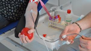 <p>Je nach Körperstatur werden der Person 430, 450 oder 470 Milliliter Blut abgezapft.</p>