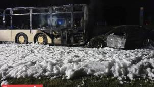 <p>62523166_648233199026943_6721428977048616960_o</p>