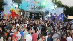 <p>Dolphinsland (56)</p>