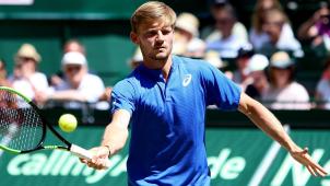 <p>David Goffin im Finale des ATP-Turniers von Halle.</p>