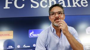 <p>Einer von sieben Neuen: Schalkes Cheftrainer David Wagner</p>
