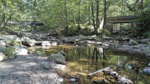 <p>Die Schwarze Brücke über die Soor (rechts) und der Fußgängersteg über Hill (links) am Zusammenfluss der beiden Vennbäche.</p>