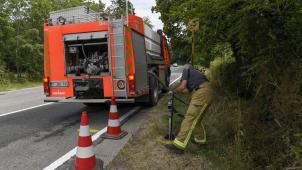 <p>190710_DHA5577</p>