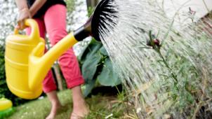 <p>Der Rasen braucht nicht täglich gegossen werden, und auch das Auto darf mal staubig sein. Wasser soll bewusst genutzt werden.</p>