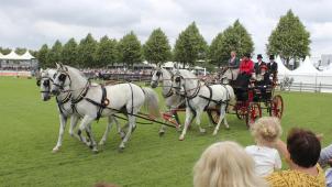 <p>Zahlreiche Kutschen werden am Soerser Sonntag zu bestaunen sein.</p>